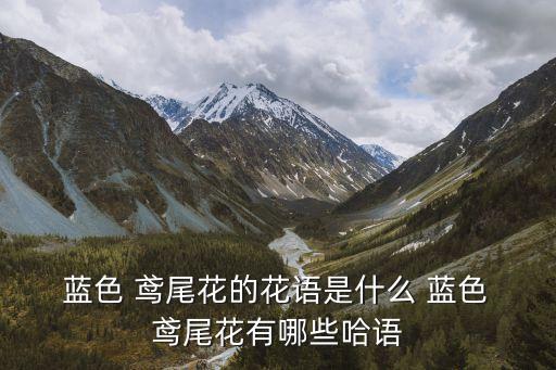 藍色鳶尾花,這些鳶尾花的花語有何不同?