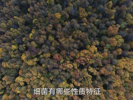 細菌英文,細菌屬于生物學范疇分為三類