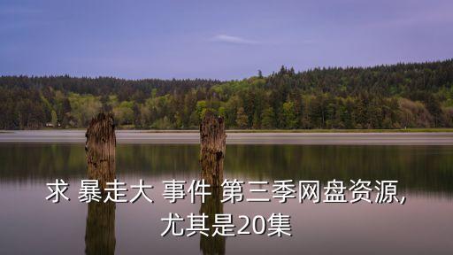 求 暴走大 事件 第三季網(wǎng)盤資源,尤其是20集
