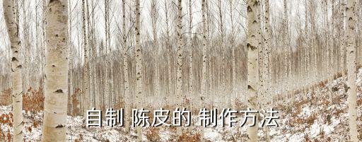 自制 陳皮的 制作方法