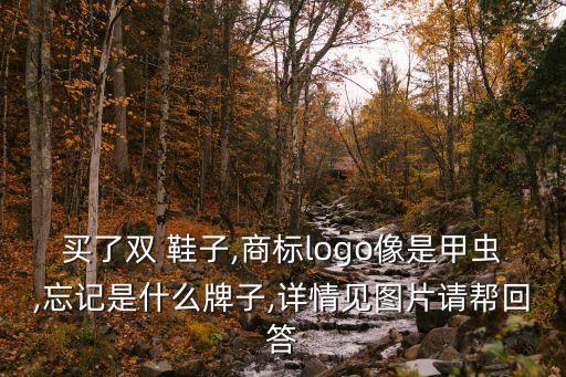 買了雙 鞋子,商標logo像是甲蟲,忘記是什么牌子,詳情見圖片請幫回答