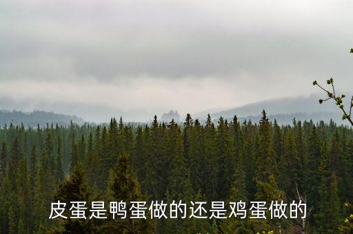 皮蛋是什么蛋做的,蛋白凝膠中形成白色晶體簇制作皮蛋注意事項(xiàng)