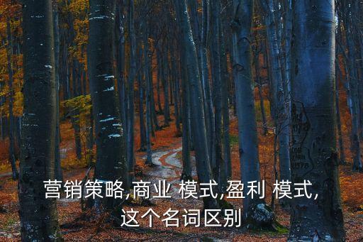 營銷策略,商業 模式,盈利 模式,這個名詞區別