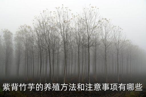紫背竹芋的養殖方法和注意事項有哪些