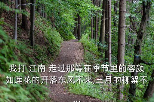 我打 江南 走過那等在季節里的容顏如蓮花的開落東風不來,三月的柳絮不...
