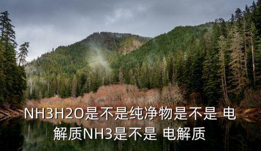 nh3是電解質(zhì)嗎,水溶液或熔融狀態(tài)下幾乎完全電離電解質(zhì)
