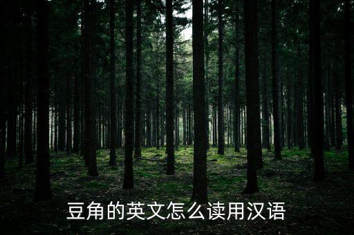 豆角的英文怎么讀用漢語(yǔ)