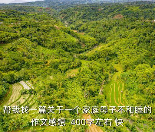 幫我找一篇關于一個家庭母子不和睦的作文感想  400字左右 快