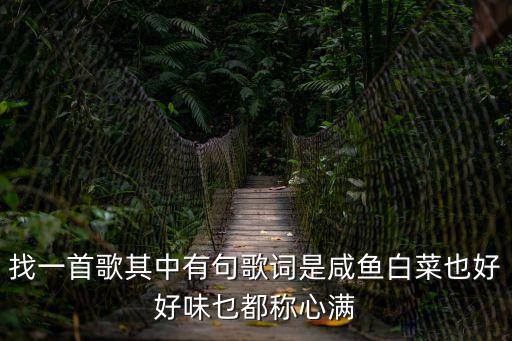 找一首歌其中有句歌詞是咸魚白菜也好好味乜都稱心滿