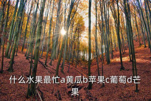 什么水果最忙，什么水果很忙