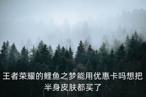 王者榮耀的鯉魚之夢能用優(yōu)惠卡嗎想把半身皮膚都買了