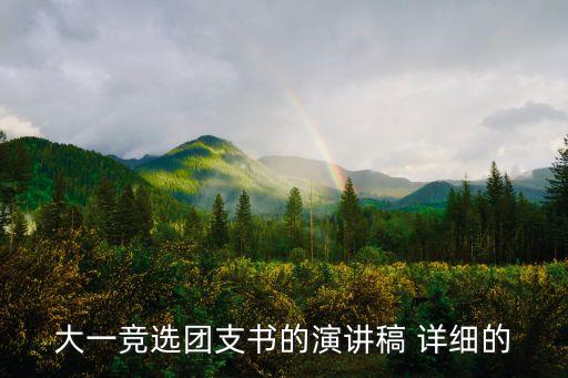 大一競選團支書的演講稿 詳細的