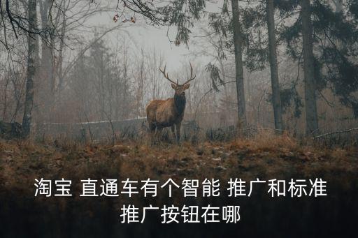 淘寶直通車推廣,淘寶直通車推廣位置與寶貝默認排序無關