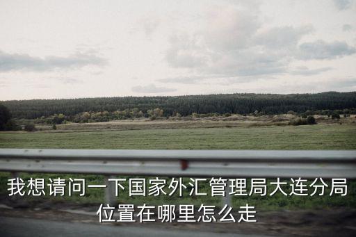 中國(guó)外匯局，中國(guó)銀行外匯交易