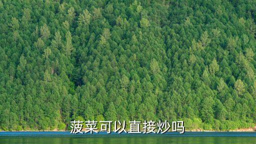 菠菜可以直接炒嗎