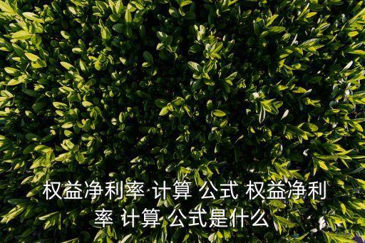  權益凈利率 計算 公式 權益凈利率 計算 公式是什么