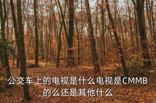 公車上的,公交車上的按鈕是用來提醒司機下車的嗎?
