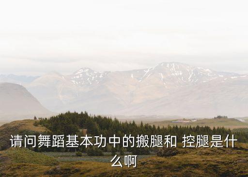 請(qǐng)問舞蹈基本功中的搬腿和 控腿是什么啊