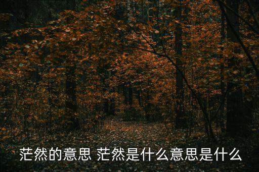 茫然是什么意思,我還能繼續前進嗎?第二集
