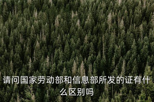 請問國家勞動部和信息部所發的證有什么區別嗎