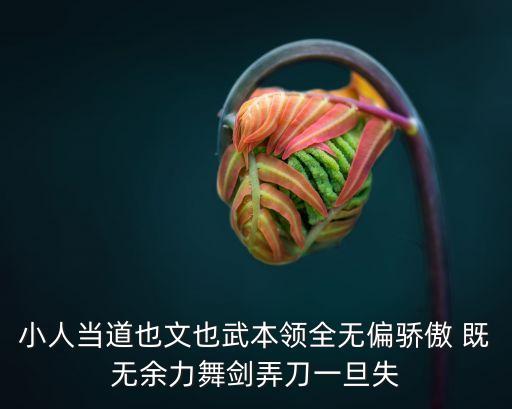 小人當道也文也武本領全無偏驕傲 既無余力舞劍弄刀一旦失