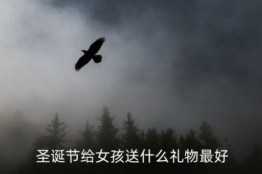 圣誕女孩,圣誕禮物知多少?這樣的禮物值得你擁有!