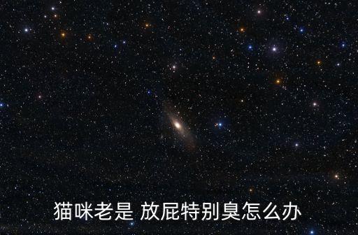 貓咪老是 放屁特別臭怎么辦