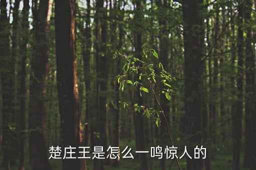 楚莊王一鳴驚人的故事，楚莊王是怎么一鳴驚人的