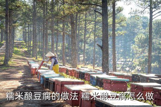 糯米釀豆腐，豆腐釀糯米怎么做好吃