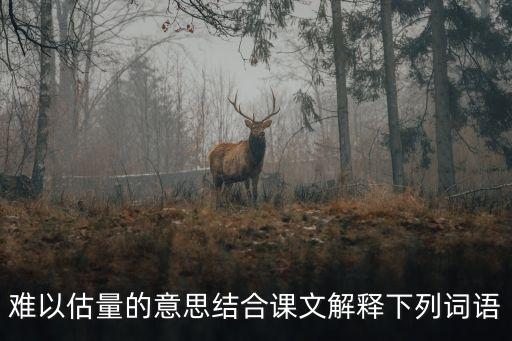難以估量，難以估量什么意思