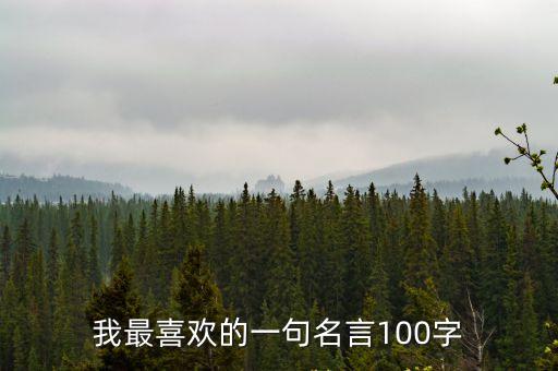 我最喜歡的一句名言100字