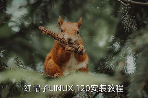 紅帽子linux，Linux紅帽子40