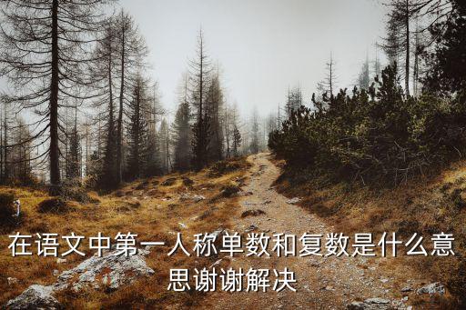 在語文中第一人稱單數和復數是什么意思謝謝解決