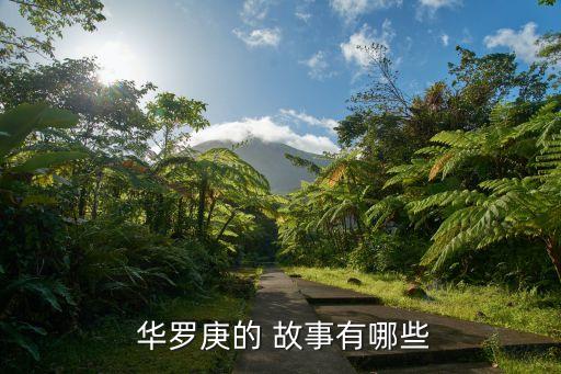 華羅庚的小故事,王元順利通過(guò)華羅庚接收碩士班