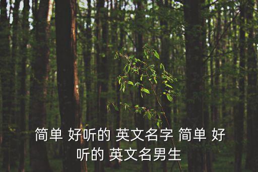 簡單好聽的英文名,第二集:獅子座的勇敢與有趣的男孩