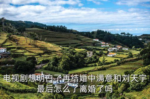 電視劇想明白了再結婚中滿意和劉天宇最后怎么了離婚了嗎