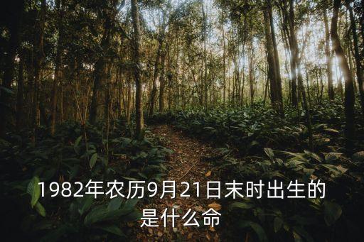 1982年農(nóng)歷9月21日末時出生的是什么命