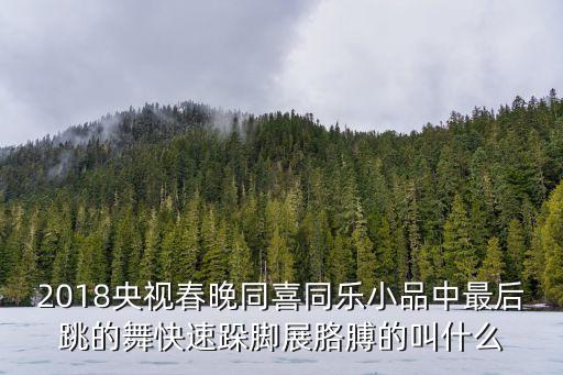 2018央視春晚同喜同樂小品中最后跳的舞快速跺腳展胳膊的叫什么