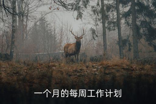 一個月的每周工作計劃