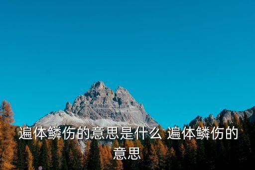 遍體鱗傷,被歹徒打遍體鱗傷中國習(xí)語:身體如魚鱗
