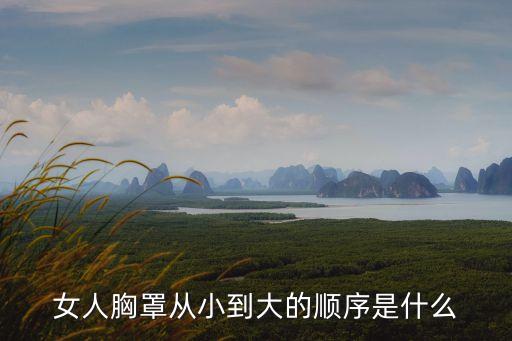 女人胸罩從小到大的順序是什么