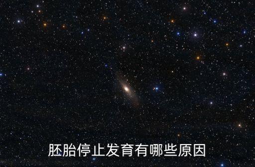 胚胎停止發育有哪些原因