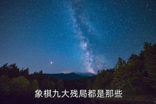 象棋之王,國際象棋:total之王不能去對手棋子殺傷范圍