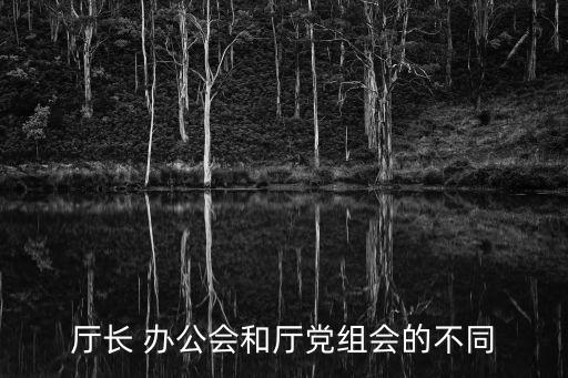 廳長 辦公會和廳黨組會的不同