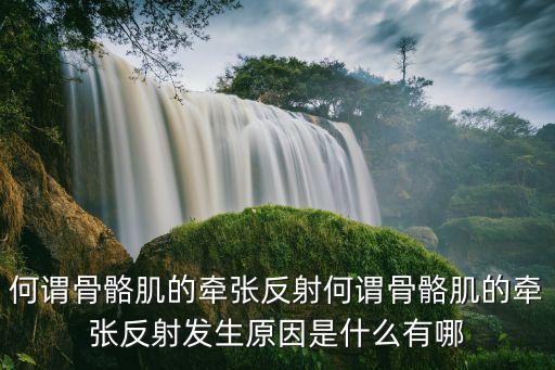 牽張反射名詞解釋，何謂骨骼肌的牽張反射何謂骨骼肌的牽張反射發生原因是什么有哪