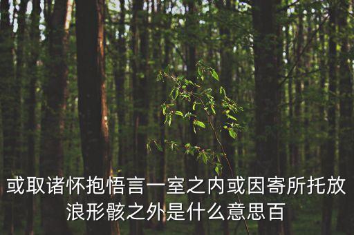 或因寄所托，或取諸懷抱悟言一室之內或因寄所托放浪形骸之外的意思是