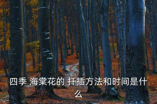 海棠花的扦插方法,四季海棠的習性:耐寒性和耐旱性都比較差