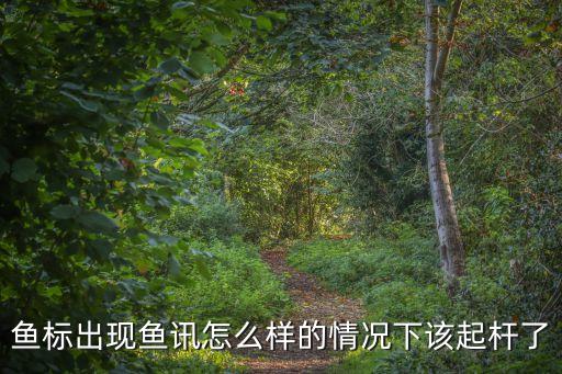 魚訊，有好的魚訊嗎