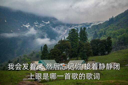 我會發(fā)著呆 然后忘記你 接著靜靜閉上眼是哪一首歌的歌詞