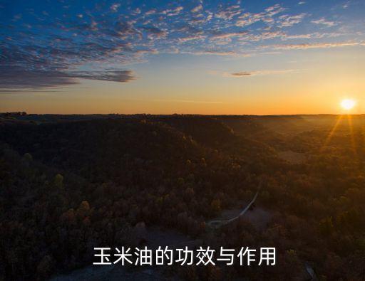 玉米油的功效與作用